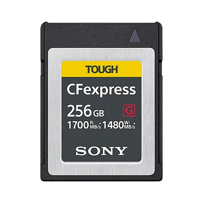 Sony 256GB CFexpress Memory Card - Black - CEBG256/J