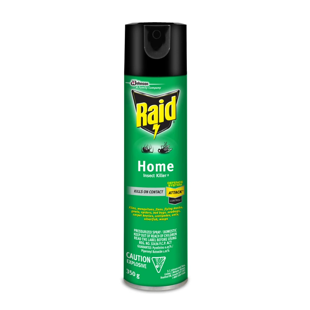 Raid Home Insect Killer 2 Insecticide - 350g