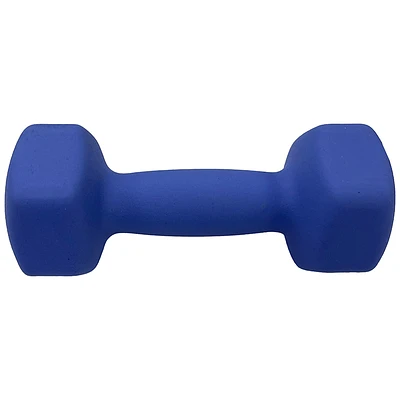 Danskin Neoprene Dumbbell - Periwinkle - 8lb