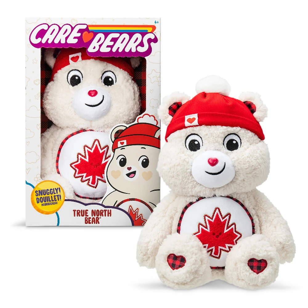 Basic Fun Care Bears - True North Bear - 14 Inch