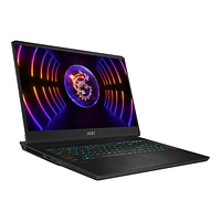 MSI Vector GP77 Gaming Laptop - 17.3 Inch - 32 GB RAM - 1 TB SSD - Intel Core i7 13700H - RTX 4070 - Core Black - 13VG-033CA