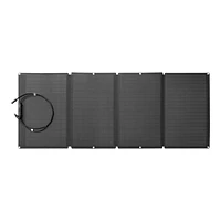 EcoFlow Foldable Solar Panel - ECF10SP160