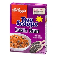 Kellogg's Raisin Bran Cereal - 425g