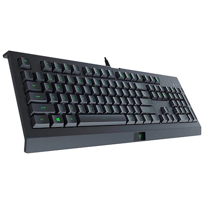 Razer Cynosa Lite Keyboard - Black - RZ03-02740700-R3U1
