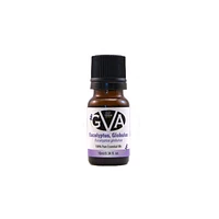GVA Essential Oils - Eucalyptus - 10ml