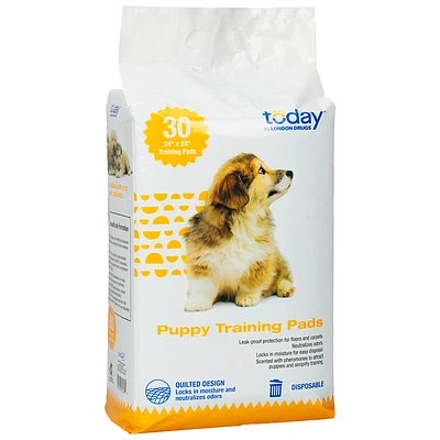 Today by London Drugs Puppy Training Pads - 30s