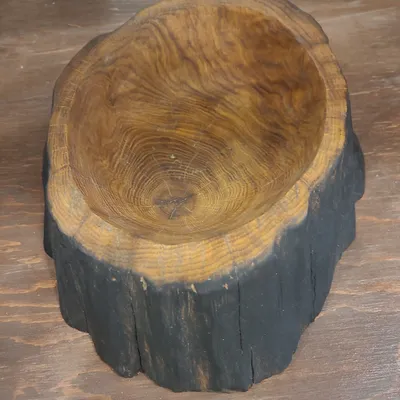Bent into shape medium bowl -oak with black