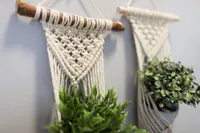 Knots by B - Wall Plant Hanger