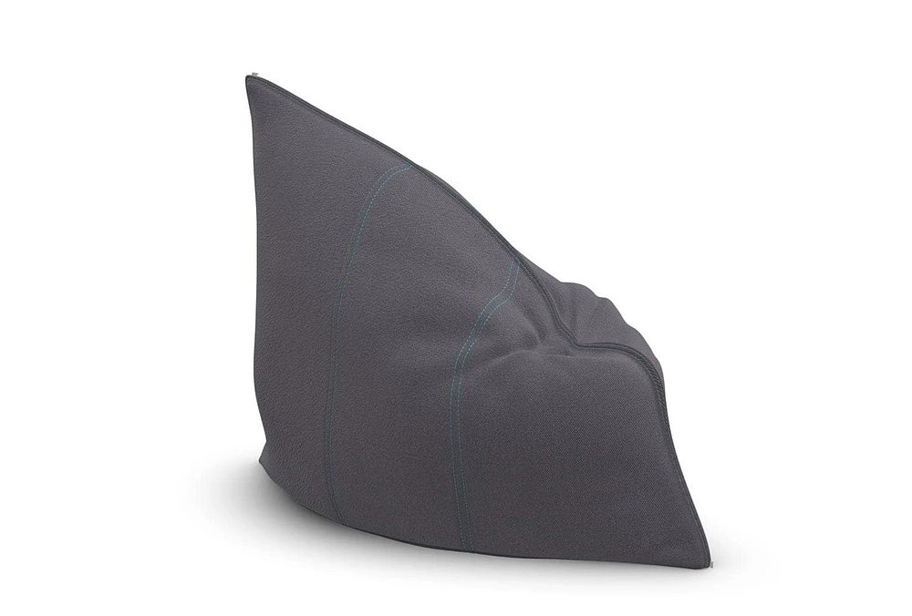 Pillowsac Insert