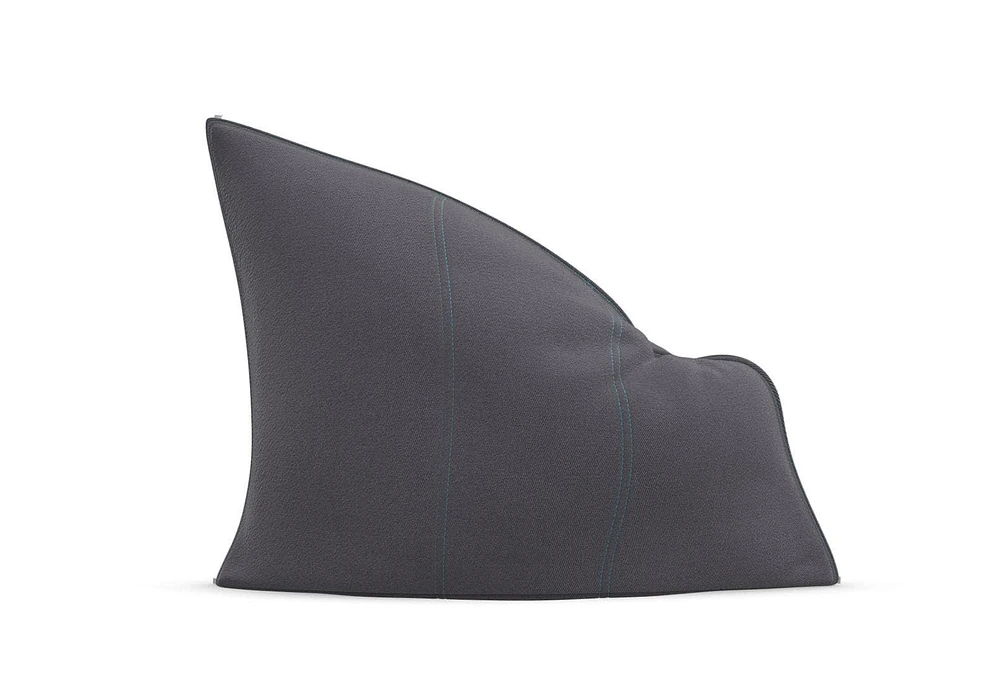 Pillowsac Insert