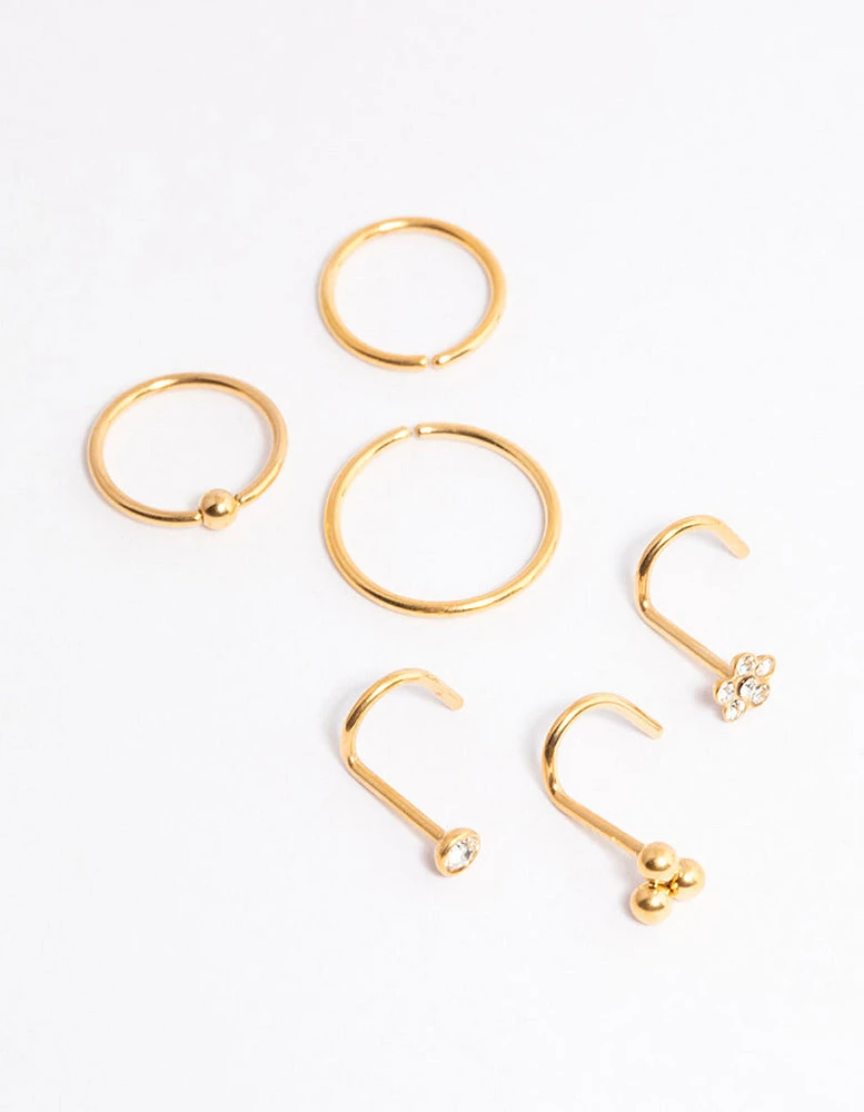 Gold Plated Titanium Ring & Hook Nose 6-Pack