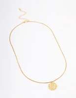 Gold Plated Aquarius Star Sign Pendant Necklace