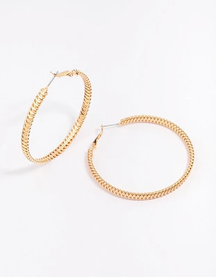 Gold Flat Coil Hoop Earrings