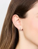 Titanium Small Classic Hoop Earrings