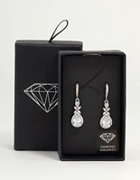 Silver Cubic Zirconia Halo Hook Earrings