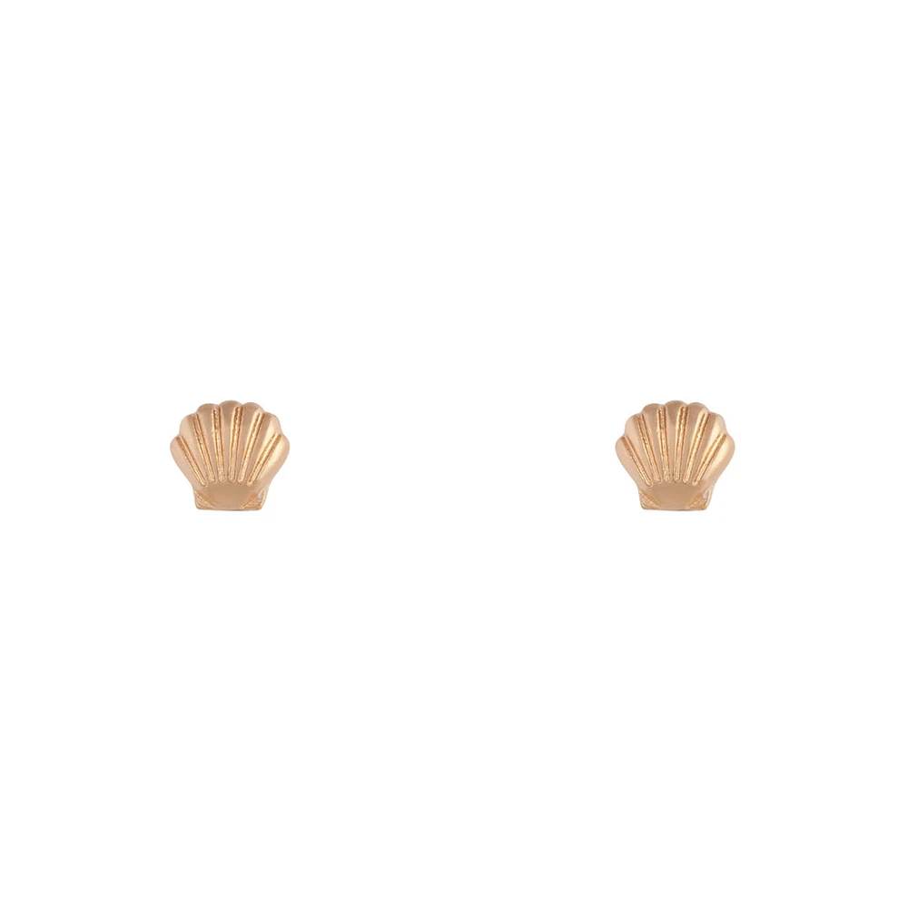 Small Seashell Gold Stud Earrings