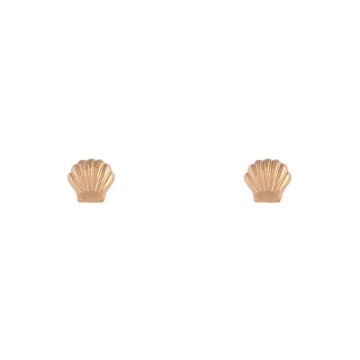 Small Seashell Gold Stud Earrings