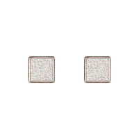 Rhodium Glitter Inlay Square Earrings