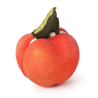 Apple Crumble Macaron moussant 200g | Ingrédient Frais & Sans Cruauté | Lush Cosmétiques