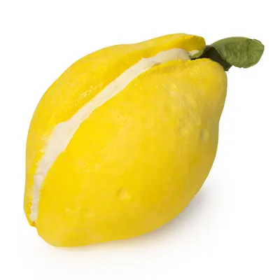 Lemon Crumble Macaron moussant 200g | Ingrédient Frais & Sans Cruauté | Lush Cosmétiques