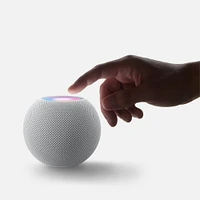 HomePod Mini MY5G2CL/A Gris Espacial