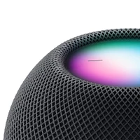 HomePod Mini MY5G2CL/A Gris Espacial