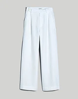 The Plus Harlow Wide-Leg Pant in 100% Linen | Madewell
