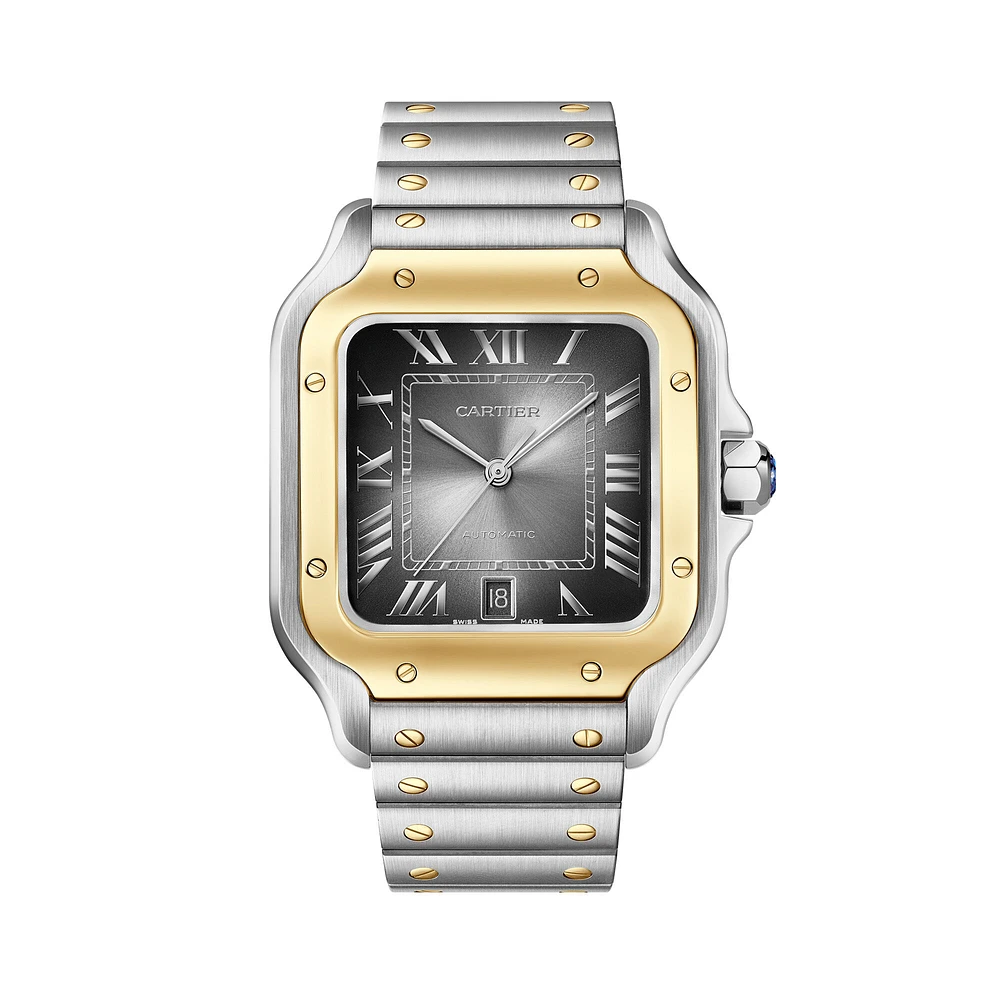 Santos de Cartier Large Automatic 40 mm Yellow Gold and Stainless Steel