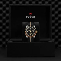 Black Bay GMT Automatic 41 mm Stainless Steel