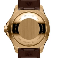 Superocean Automatic 44 mm Bronze