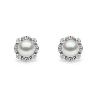 Trend Gold Pearl and Diamond Stud Earrings