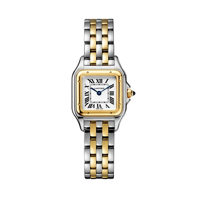 Panthère de Cartier Quartz x mm Yellow Gold and Stainless Steel