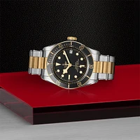 Black Bay Automatic mm Yellow Gold and Stainless Steel