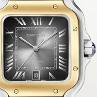 Santos de Cartier Large Automatic 40 mm Yellow Gold and Stainless Steel