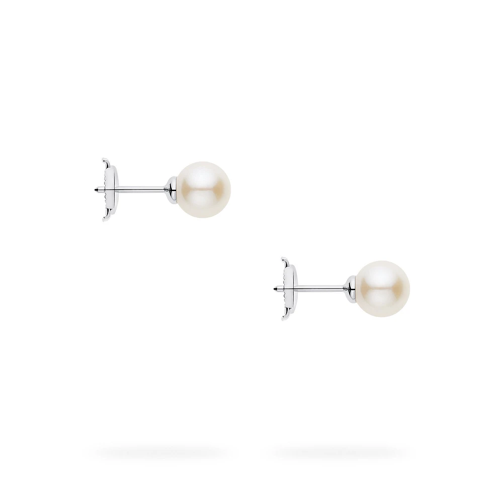 Freshwater Pearl Earrings