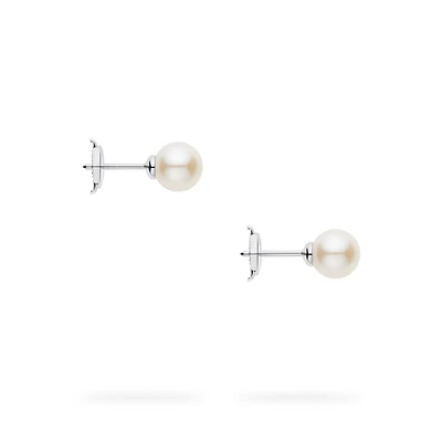 Freshwater Pearl Earrings