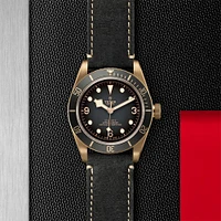 Black Bay Automatic 43 mm Bronze