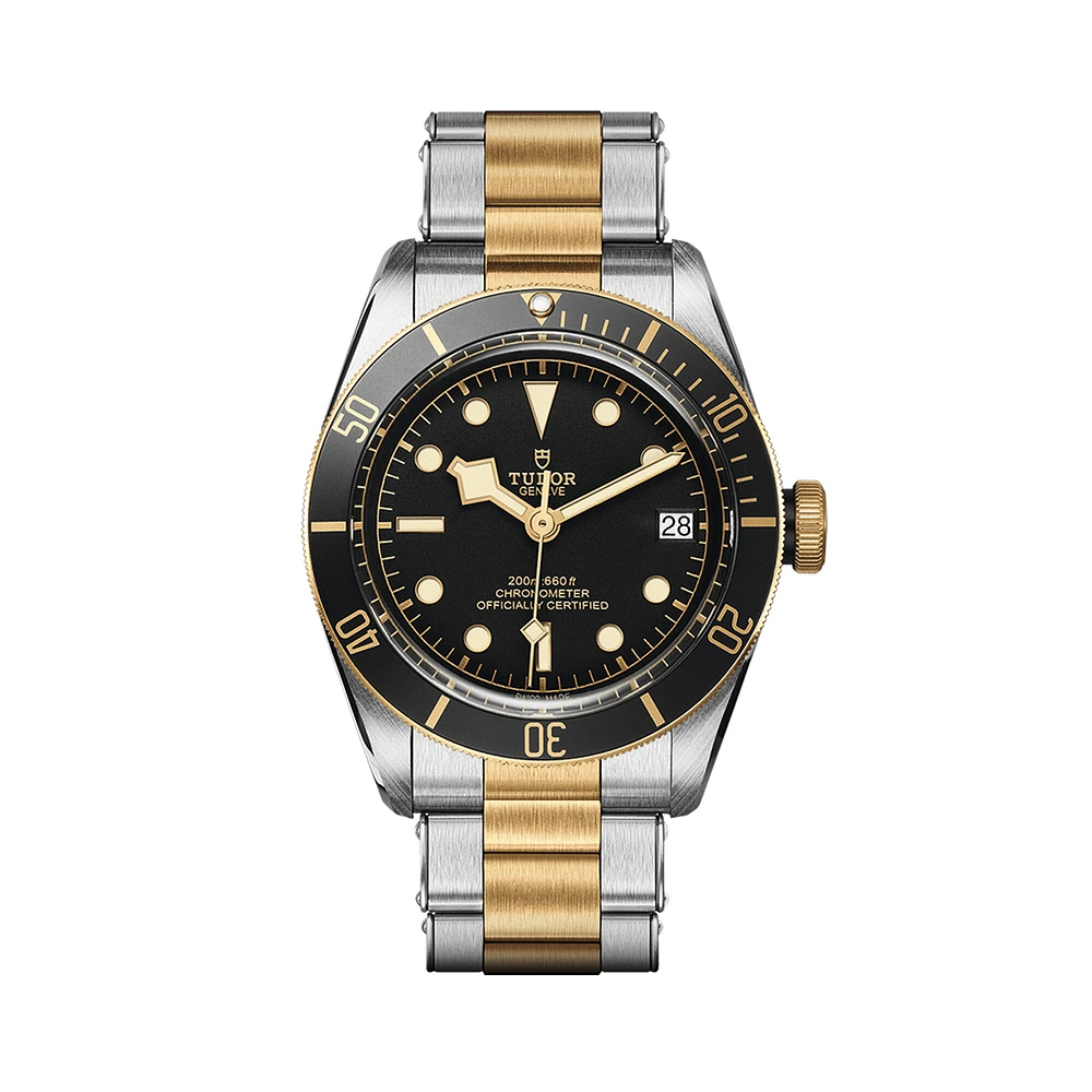 Black Bay Automatic mm Yellow Gold and Stainless Steel