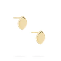 Yellow Gold Stud Earrings