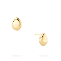 Yellow Gold Stud Earrings