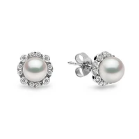 Trend Gold Pearl and Diamond Stud Earrings