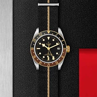 Black Bay GMT Automatic 41 mm Stainless Steel