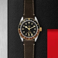 Black Bay GMT Automatic 41 mm Stainless Steel