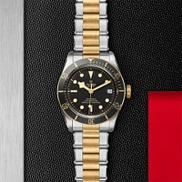 Black Bay Automatic mm Yellow Gold and Stainless Steel