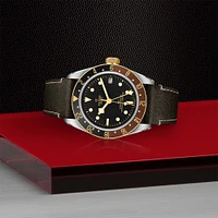 Black Bay GMT Automatic 41 mm Stainless Steel