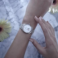 Master Automatic Moonphase 34 mm Stainless Steel and Diamond