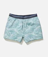 Best Boxers Ever