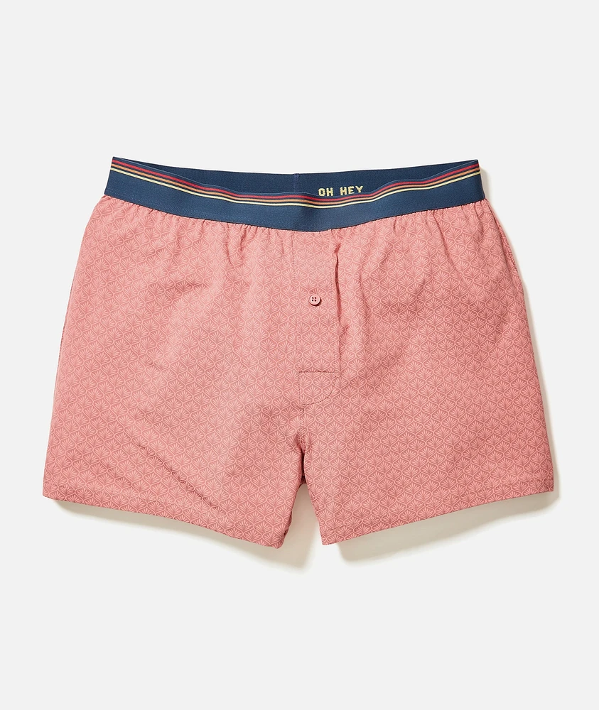 Best Boxers Ever