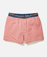 Best Boxers Ever