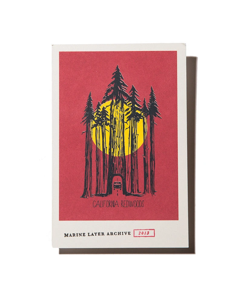 Redwoods Postcard